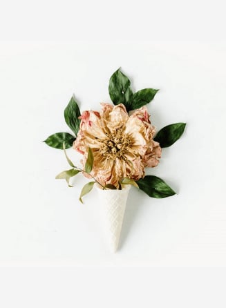 Flower in a cone